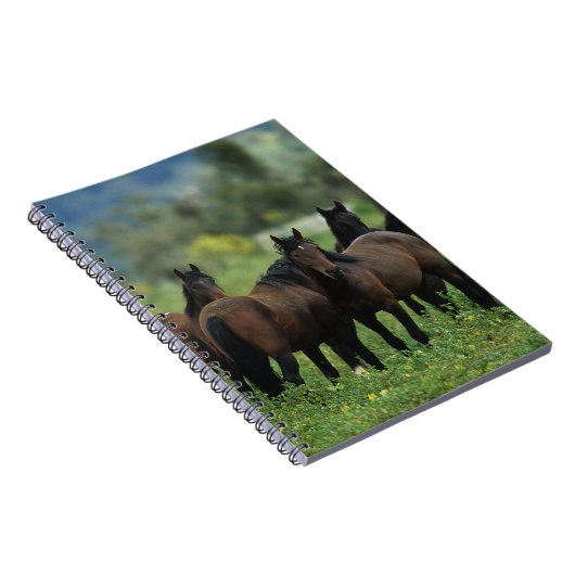 Wilde Mustang-Pferde 3 Notizblock (Rechte Seite)