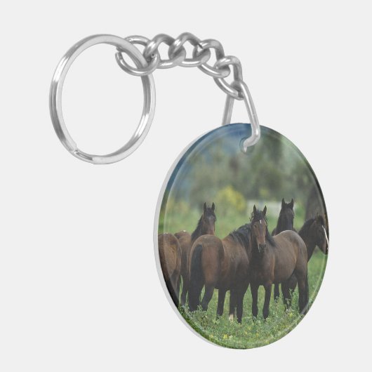 Wilde Mustang-Pferde 3 Schlüsselanhänger (Vorderseite links)