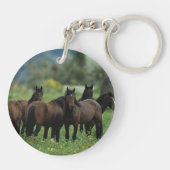 Wilde Mustang-Pferde 3 Schlüsselanhänger (Rückseite)