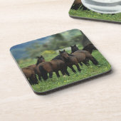 Wilde Mustang-Pferde 3 Untersetzer (Linke Seite)