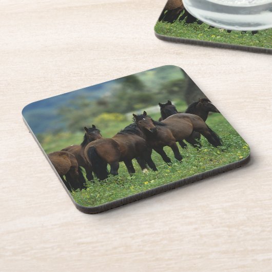 Wilde Mustang-Pferde 3 Untersetzer (Linke Seite)