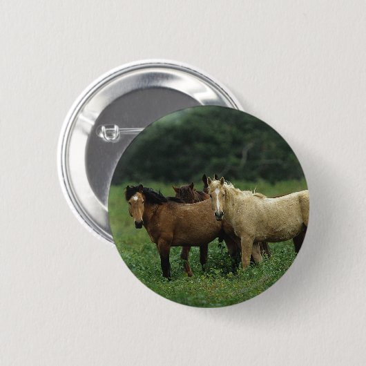 Wilde Mustang-Pferde 4 Button (Vorne & Hinten)