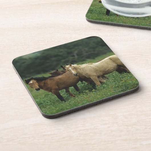 Wilde Mustang-Pferde 4 Getränkeuntersetzer (Linke Seite)