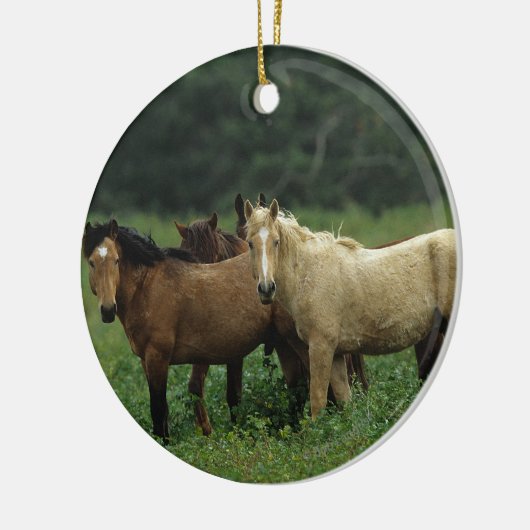 Wilde Mustang-Pferde 4 Keramik Ornament (Links)
