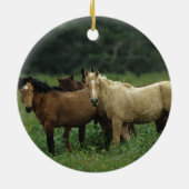 Wilde Mustang-Pferde 4 Keramik Ornament (Hinten)