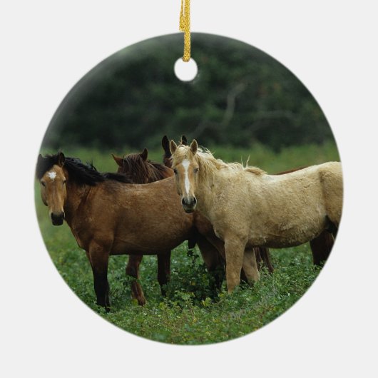 Wilde Mustang-Pferde 4 Keramik Ornament (Hinten)