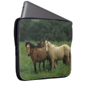 Wilde Mustang-Pferde 4 Laptopschutzhülle (Vorne Rechts)