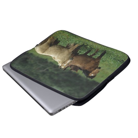 Wilde Mustang-Pferde 4 Laptopschutzhülle (Vorne Knopf)