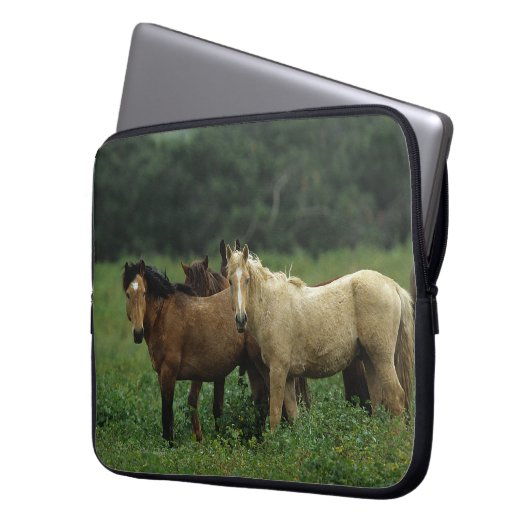 Wilde Mustang-Pferde 4 Laptopschutzhülle (Vorderseite Links)