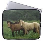 Wilde Mustang-Pferde 4 Laptopschutzhülle (Vorderseite)