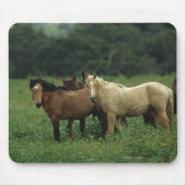 Wilde Mustang-Pferde 4 Mousepad (Vorne)