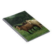 Wilde Mustang-Pferde 4 Notizblock (Rechte Seite)