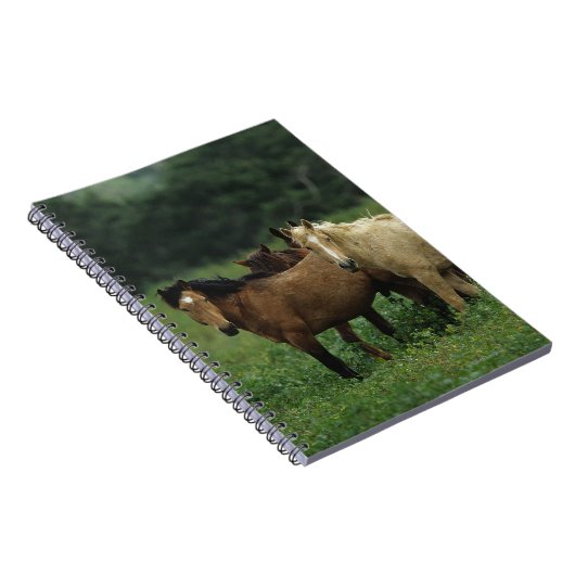 Wilde Mustang-Pferde 4 Notizblock (Rechte Seite)