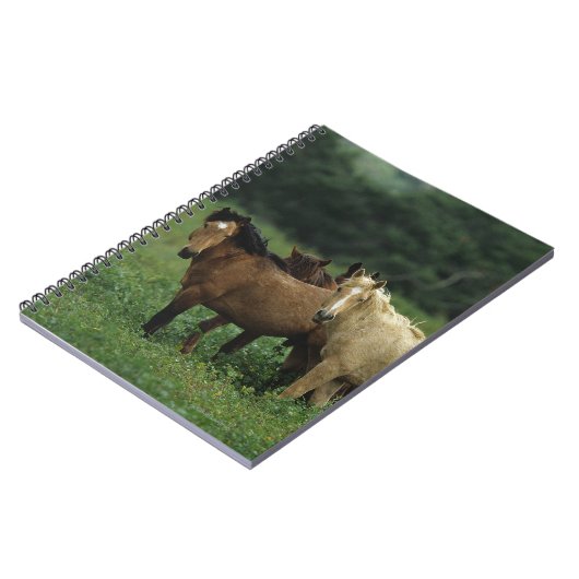 Wilde Mustang-Pferde 4 Notizblock (Linke Seite)