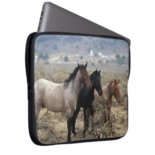 Wilde Mustang-Pferde 5 Laptopschutzhülle (Vorne Rechts)