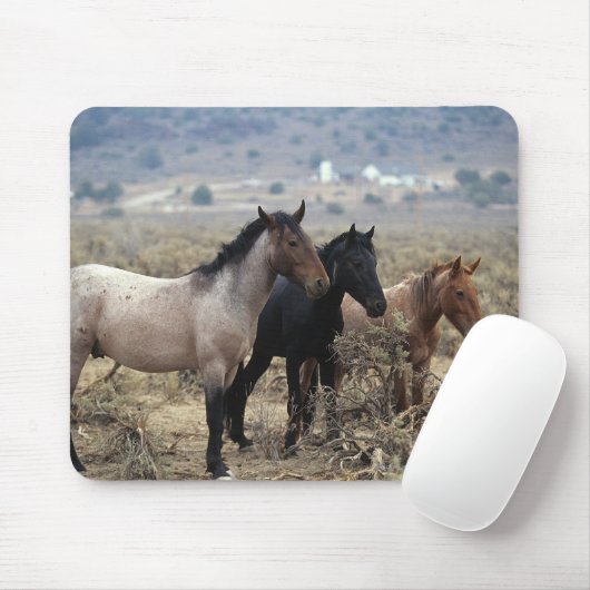 Wilde Mustang-Pferde 5 Mousepad (Mit Mouse)