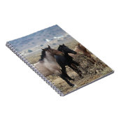 Wilde Mustang-Pferde 5 Notizblock (Rechte Seite)