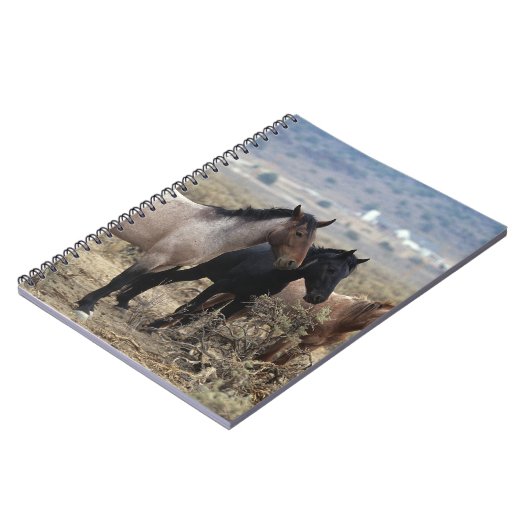 Wilde Mustang-Pferde 5 Notizblock (Linke Seite)