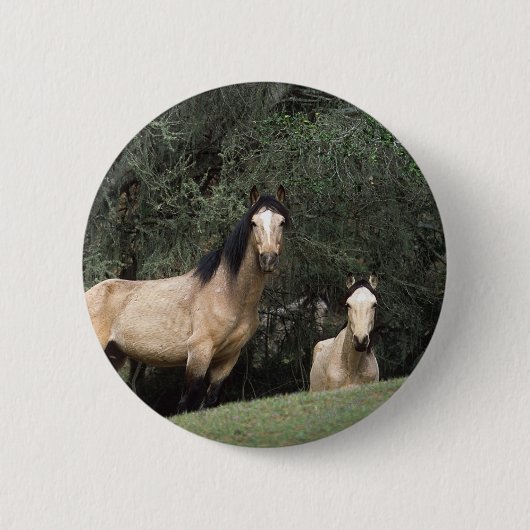 Wilde Mustang-Pferde 6 Button (Vorderseite)