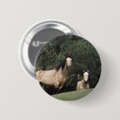 Wilde Mustang-Pferde 6 Button (Vorne & Hinten)
