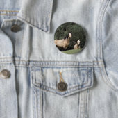 Wilde Mustang-Pferde 6 Button (Beispiel)