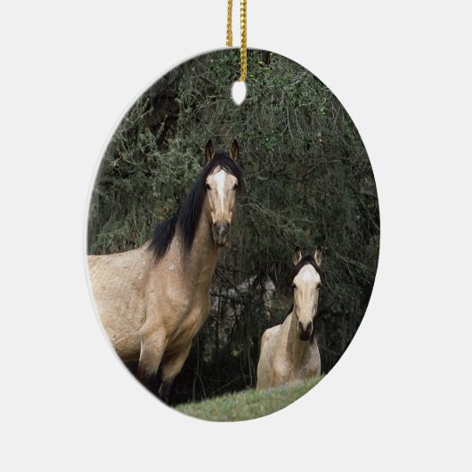 Wilde Mustang-Pferde 6 Keramik Ornament (Rechts)