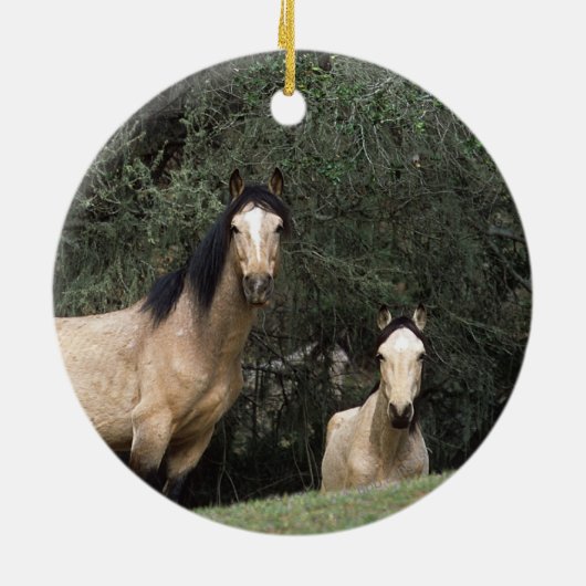 Wilde Mustang-Pferde 6 Keramik Ornament (Hinten)