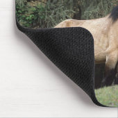 Wilde Mustang-Pferde 6 Mousepad (Ecke)