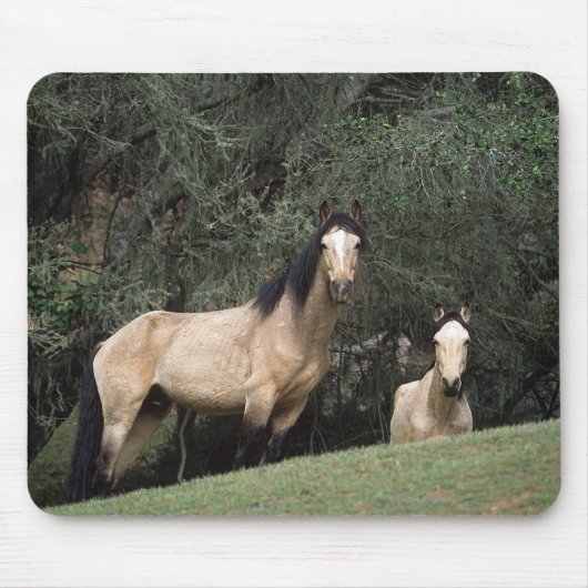 Wilde Mustang-Pferde 6 Mousepad (Vorne)