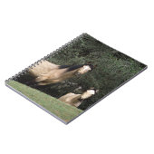 Wilde Mustang-Pferde 6 Notizblock (Linke Seite)