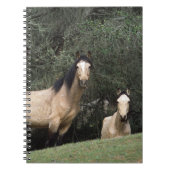 Wilde Mustang-Pferde 6 Notizblock (Vorderseite)