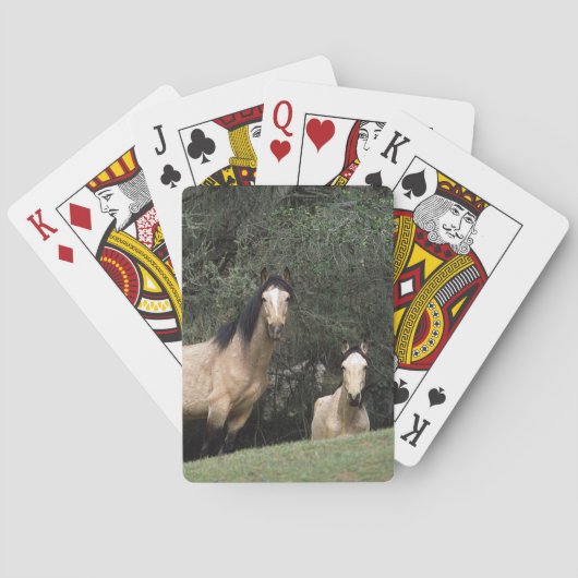 Wilde Mustang-Pferde 6 Spielkarten (Rückseite)