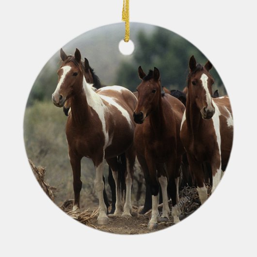 Wilde Mustang-Pferde 7 Keramikornament (Hinten)