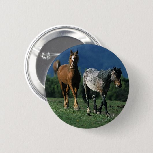 Wilde Mustang-Pferde Button (Vorne & Hinten)