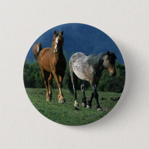 Wilde Mustang-Pferde Button