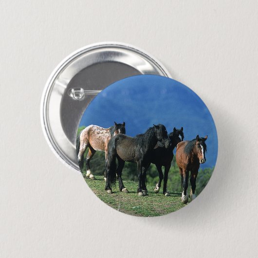 Wilde Mustang Pferde in den Bergen Button (Vorne & Hinten)