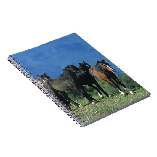 Wilde Mustang-Pferde in den Bergen Notizblock (Rechte Seite)