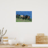 Wilde Mustang Pferde in den Bergen Poster (Küche)