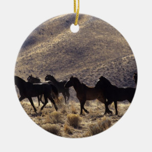 Wilde Mustang-Pferde in der Wüste 1 Keramik Ornament