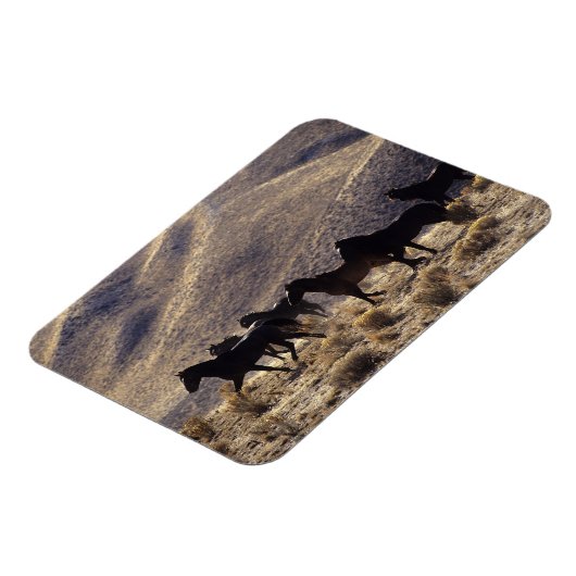 Wilde Mustang Pferde in der Wüste 1 Magnet (Linke Seite)