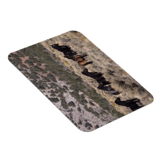 Wilde Mustang Pferde in der Wüste 2 Magnet (Rechte Seite)