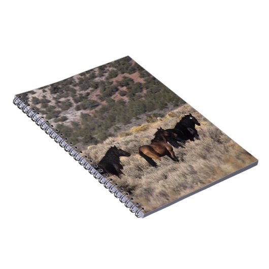 Wilde Mustang-Pferde in der Wüste 2 Notizblock (Rechte Seite)