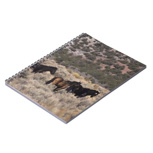 Wilde Mustang-Pferde in der Wüste 2 Notizblock (Linke Seite)