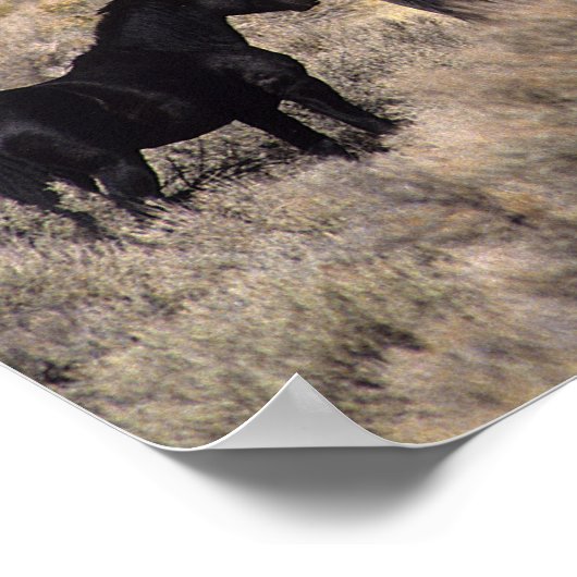 Wilde Mustang Pferde in der Wüste 2 Poster (Ecke)