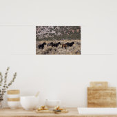 Wilde Mustang Pferde in der Wüste 2 Poster (Küche)