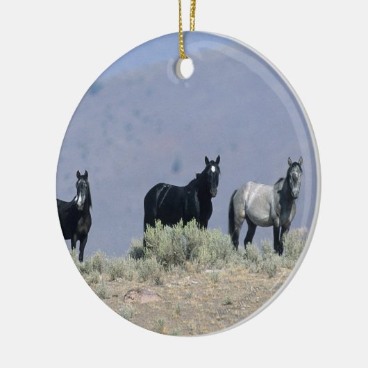 Wilde Mustang-Pferde in der Wüste 3 Keramik Ornament (Links)