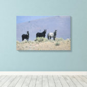 Wilde Mustang Pferde in der Wüste 3 Leinwanddruck (Insitu (Holzboden))