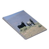 Wilde Mustang-Pferde in der Wüste 3 Notizblock (Rechte Seite)