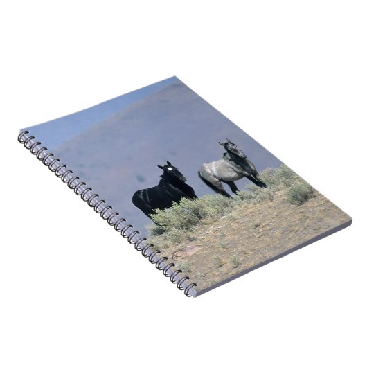 Wilde Mustang-Pferde in der Wüste 3 Notizblock (Rechte Seite)