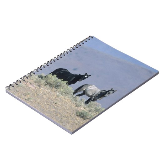 Wilde Mustang-Pferde in der Wüste 3 Notizblock (Linke Seite)